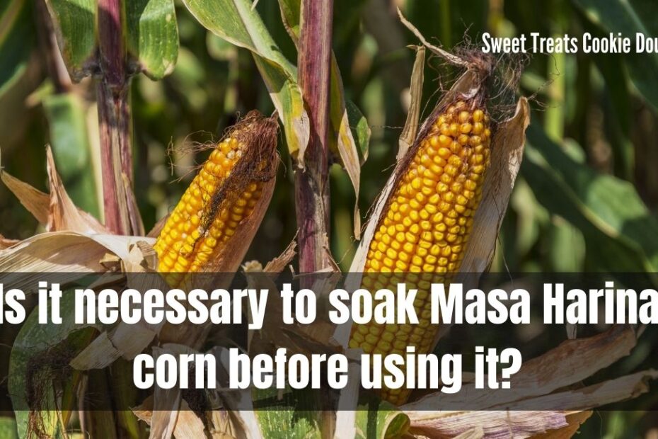Is it necessary to soak Masa Harina corn before using it